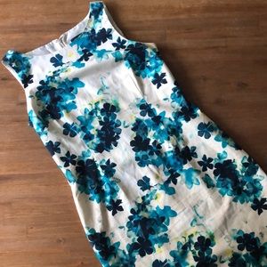 BOGO Ann Taylor Dress